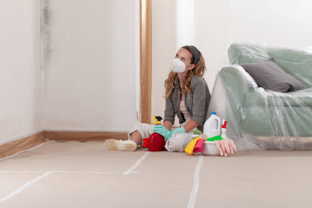 Reliable Crawl Space Mold Removal contractor in Sherwood, OR by WQB Mold Removal